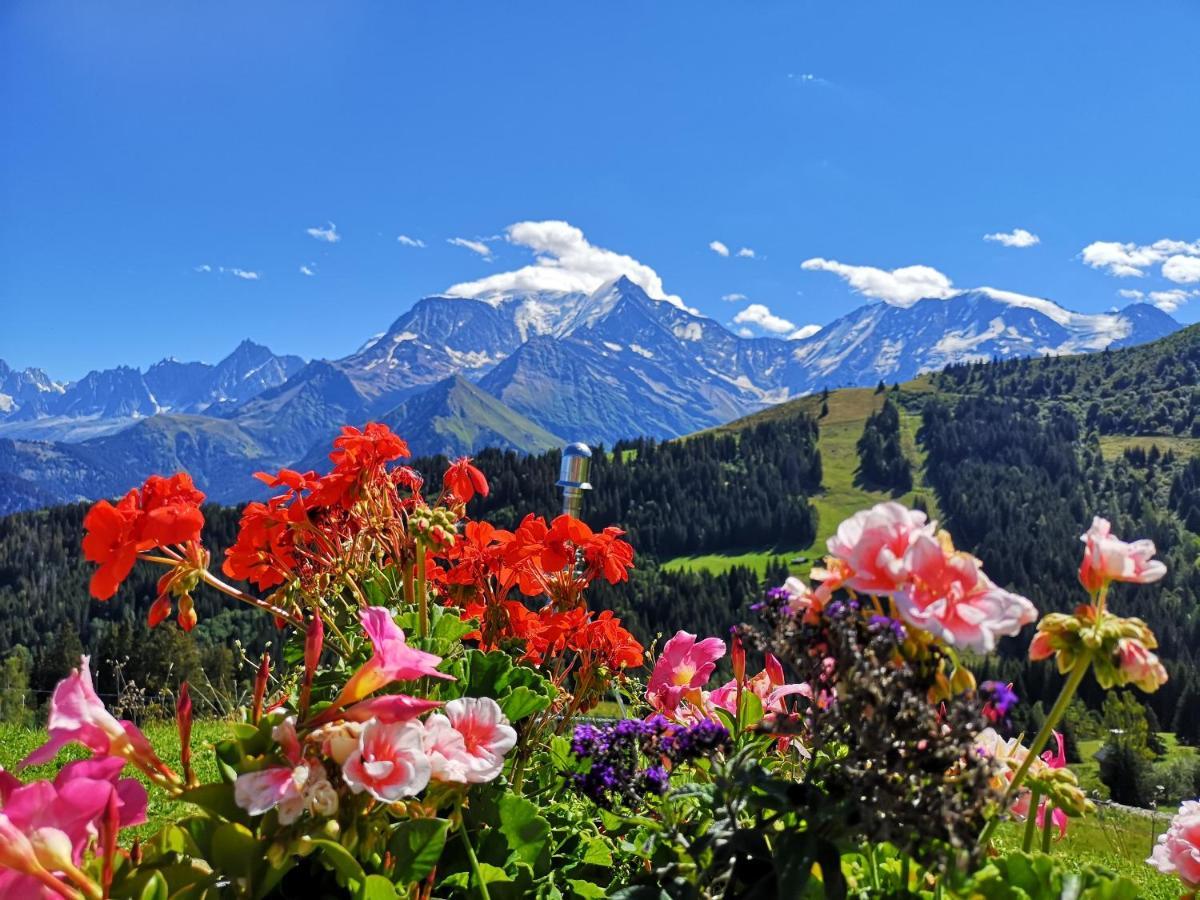 Duo Des Alpages Vue Exceptionnelle Sur Le Mont Blc Daire Saint-Gervais-les-Bains Dış mekan fotoğraf
