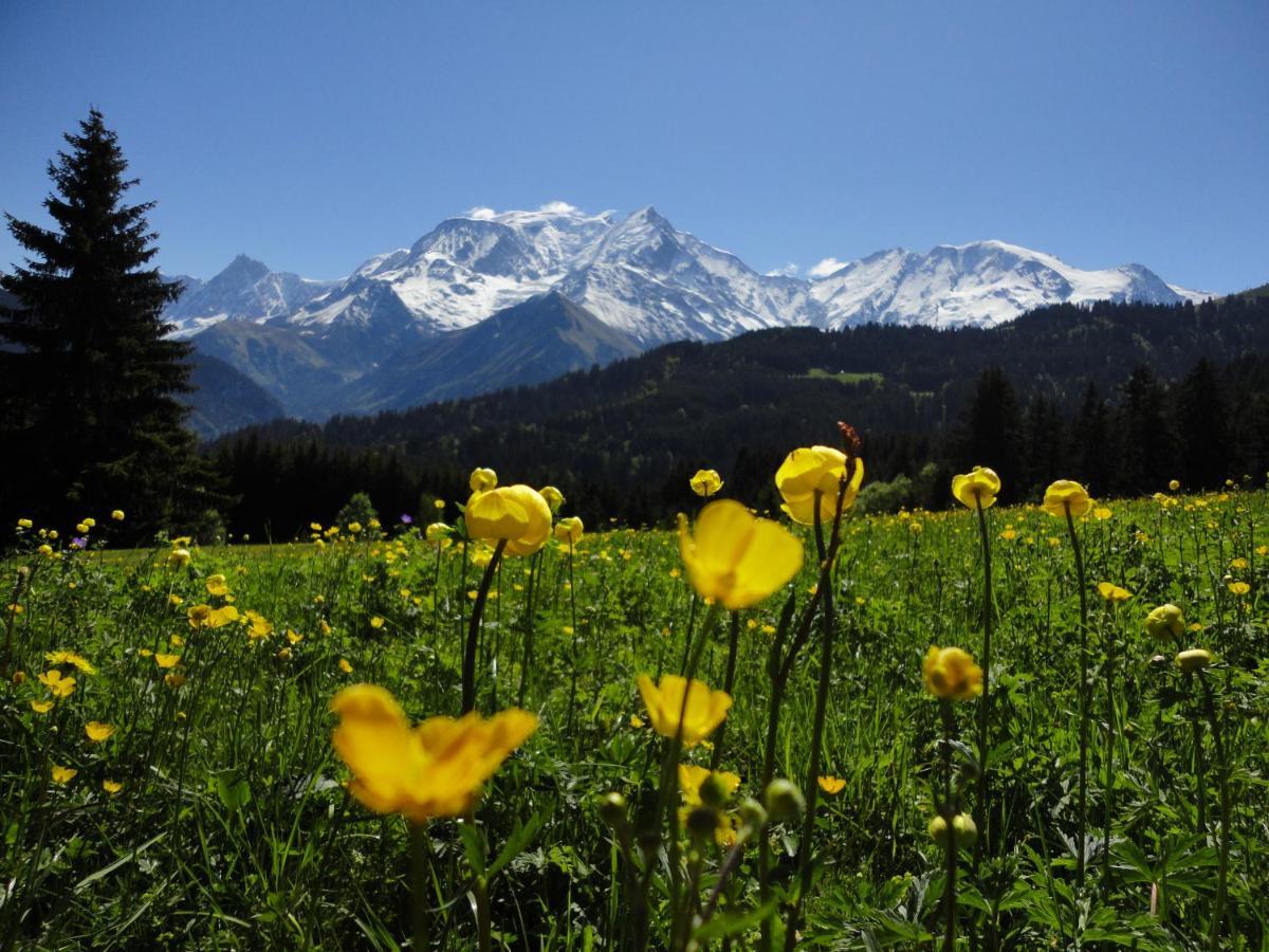 Duo Des Alpages Vue Exceptionnelle Sur Le Mont Blc Daire Saint-Gervais-les-Bains Dış mekan fotoğraf