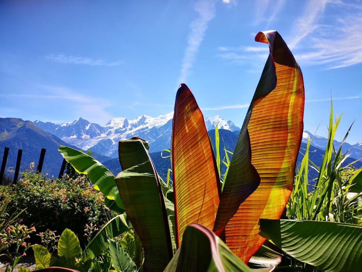Duo Des Alpages Vue Exceptionnelle Sur Le Mont Blc Daire Saint-Gervais-les-Bains Dış mekan fotoğraf