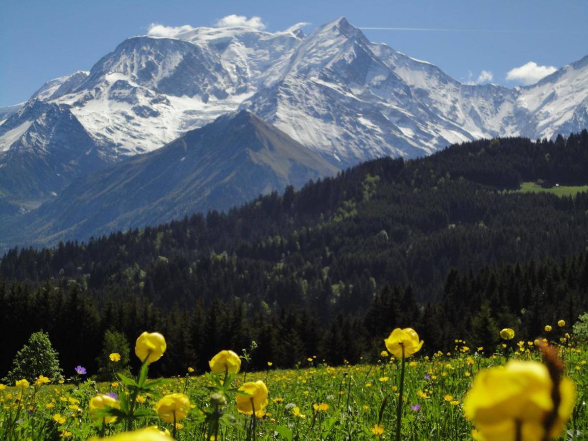 Duo Des Alpages Vue Exceptionnelle Sur Le Mont Blc Daire Saint-Gervais-les-Bains Dış mekan fotoğraf